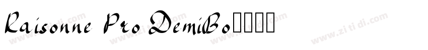 Raisonne Pro DemiBo字体转换